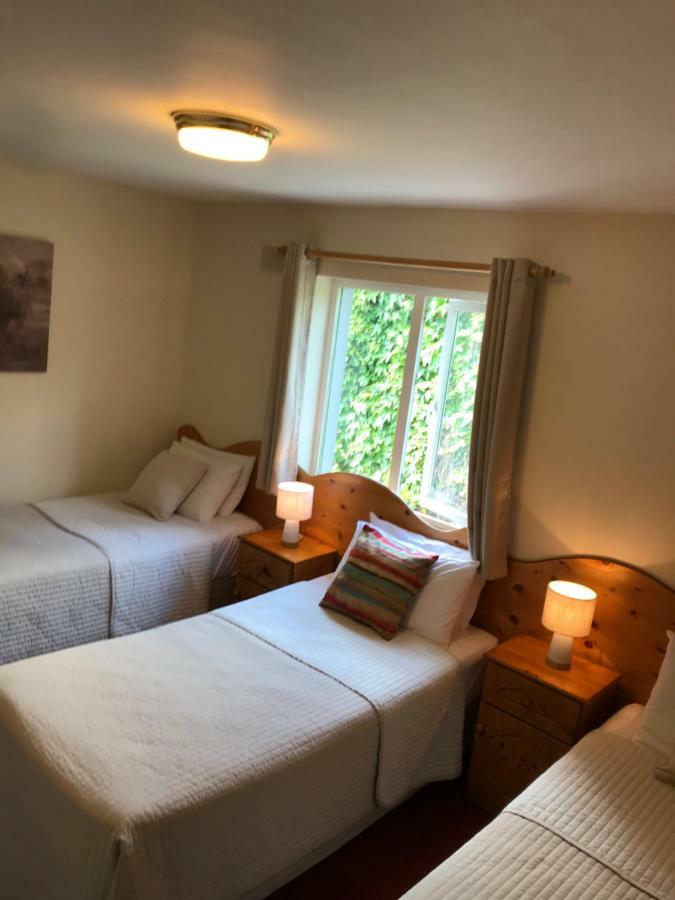 San Antonio Guesthouse Килкени Екстериор снимка