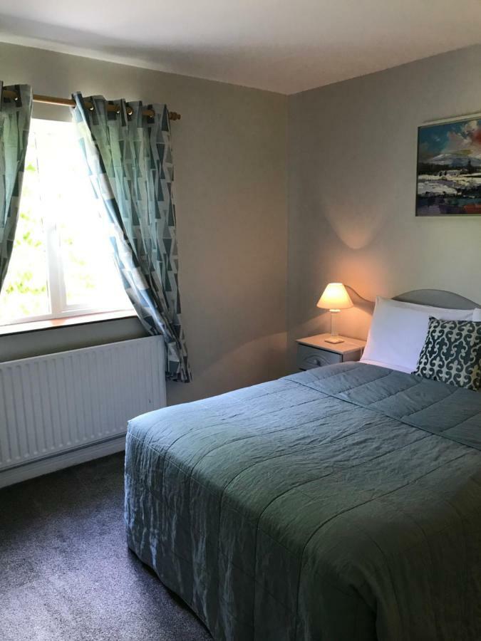 San Antonio Guesthouse Килкени Екстериор снимка